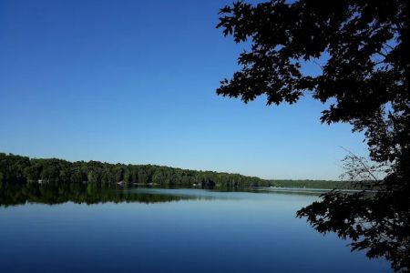 Tracey's Resort & Campground