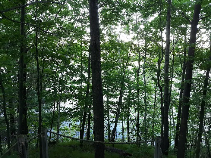 Tracey's Resort & Campground 3