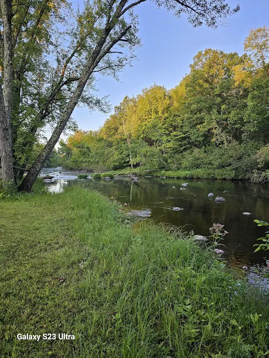 Thornapple River Campground 6