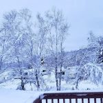 The Rustic Lodge