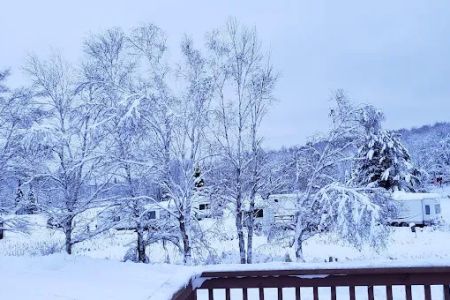 The Rustic Lodge