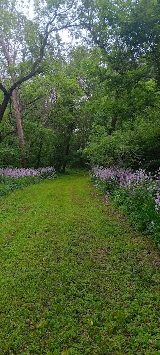 Covered Bridge Campground 8