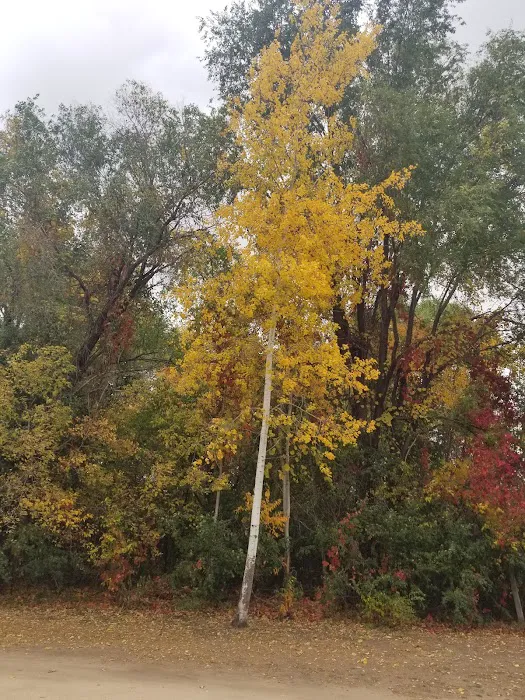 Greenwood Campground 2