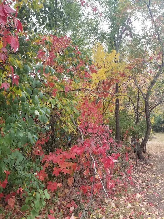 Greenwood Campground 4