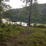 Beaver Point Campsite