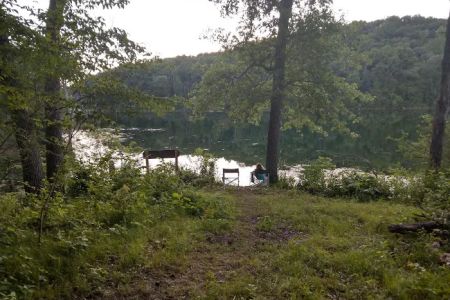 Beaver Point Campsite