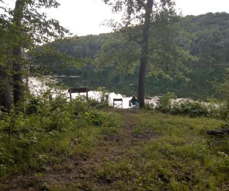 Beaver Point Campsite