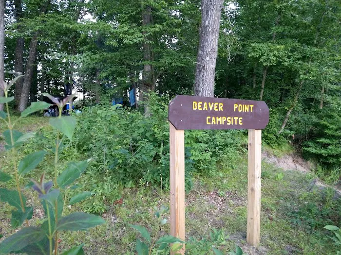 Beaver Point Campsite 3