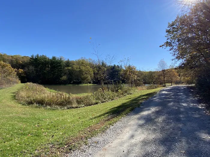 Mine Pond Campground 6