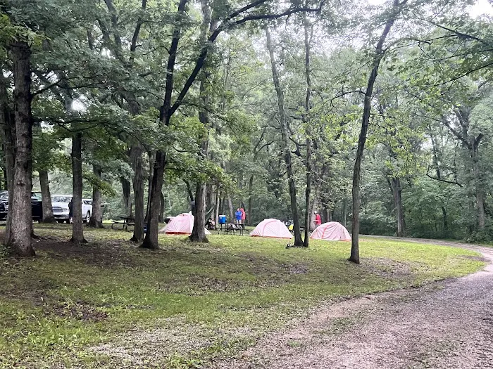 Stephen’s Forest Boy Scout Camp Y0003 2