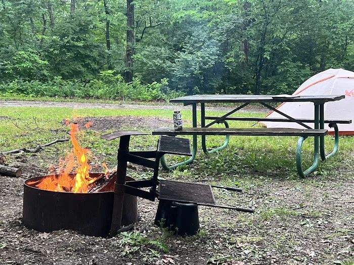 Stephen’s Forest Boy Scout Camp Y0003 1
