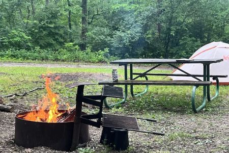 Stephen’s Forest Boy Scout Camp Y0003