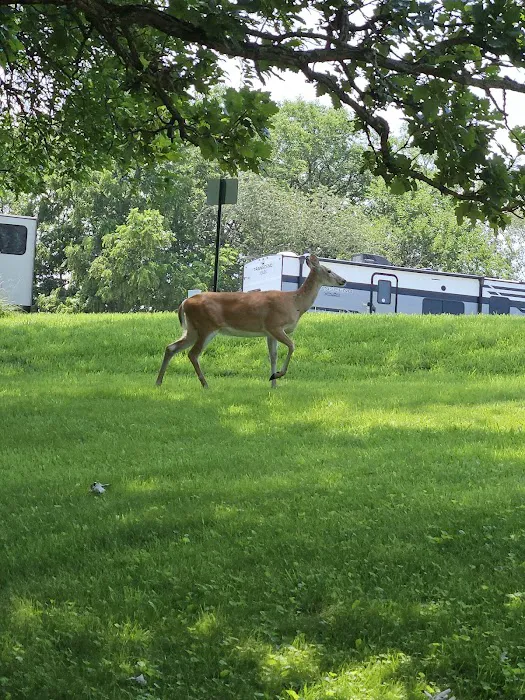 Shady Brook Camping & RV Adventures, LLC 6