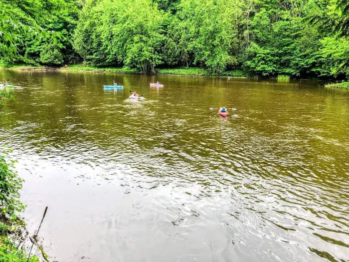 Blodgett Landing Campground 3