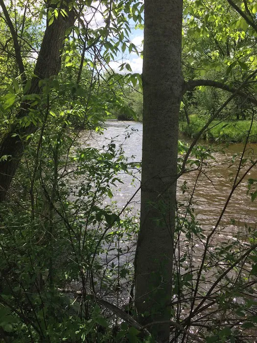 Blodgett Landing Campground 9