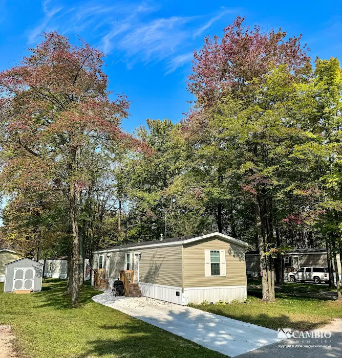 White Birch MHC 2