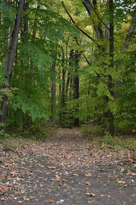 Pine Ridge RV Campground 7