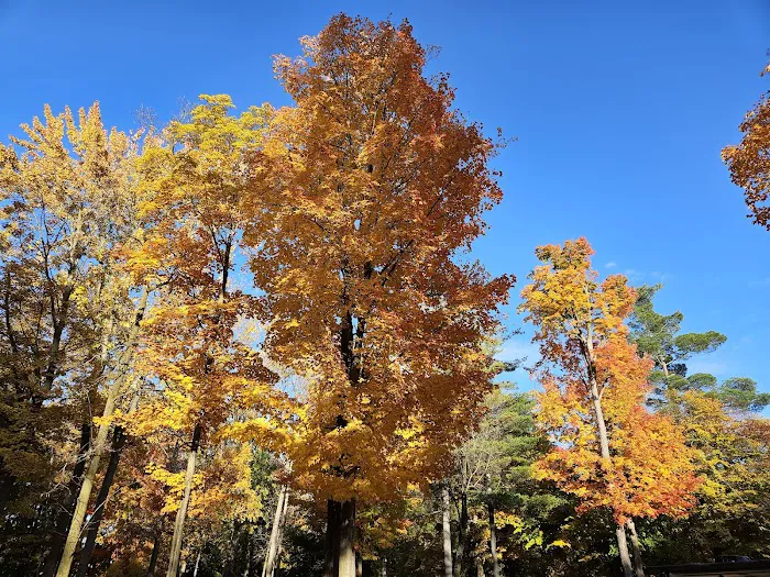 Pine Ridge RV Campground 6