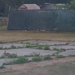 North Morris Estates MHP LLC