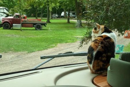 St. Lorenz Churchgrove & Campground