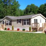 Willow Tree Village