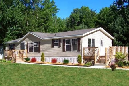 Willow Tree Village