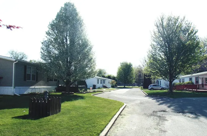 Willow Tree Village 7