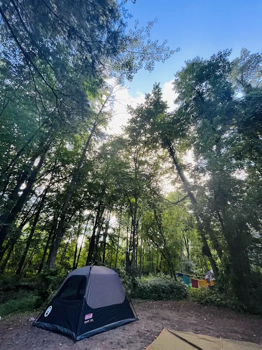 Bay City State Park Campground 1