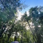 Bay City State Park Campground