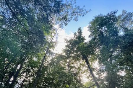 Bay City State Park Campground