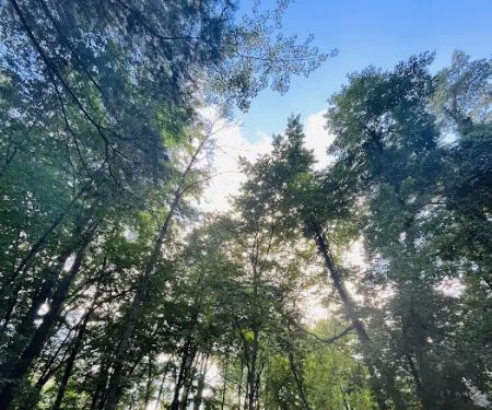 Bay City State Park Campground