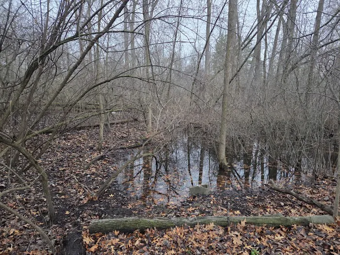 Bay City State Park Campground 4