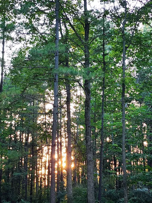 Calhoun Campground 9