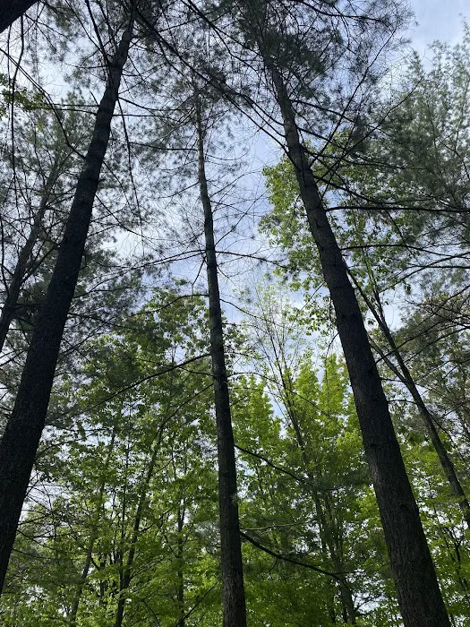 Calhoun Campground 7