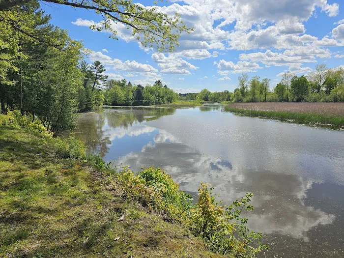 Calhoun Campground 4