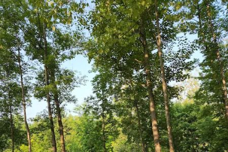 Northern Sites Campground