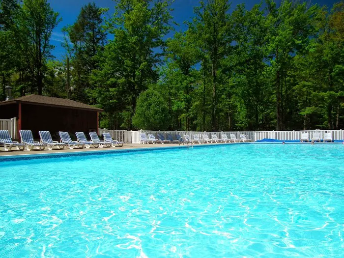 Dune Town Camp-Resort (formerly Yogi Bear's Jellystone Park) 3