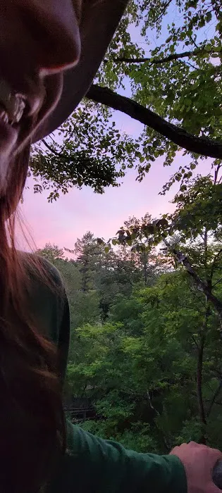 Claybanks Campground 8