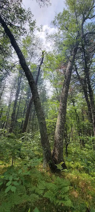Claybanks Campground 4