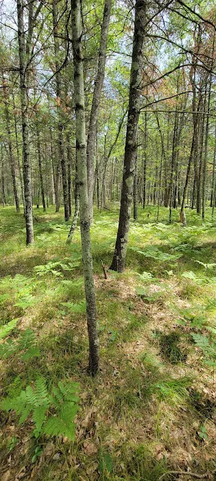 Claybanks Campground 5