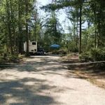 Sandy Fern Campsite