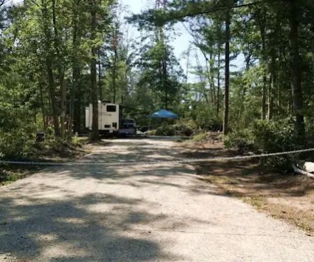 Sandy Fern Campsite
