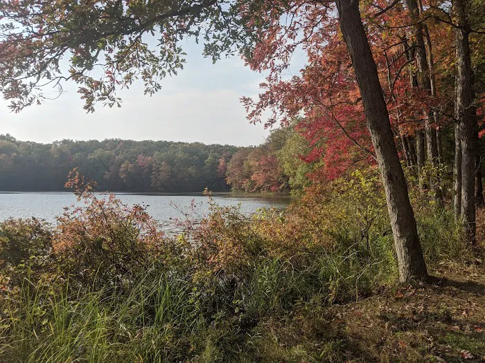 Whelan Lake Area 2