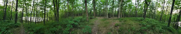 Whelan Lake Area 6