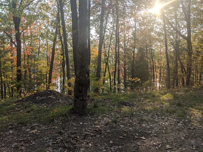 Whelan Lake Area 5