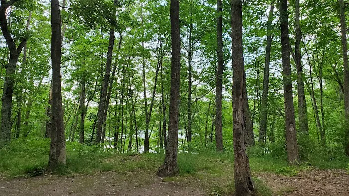 Whelan Lake Area 4