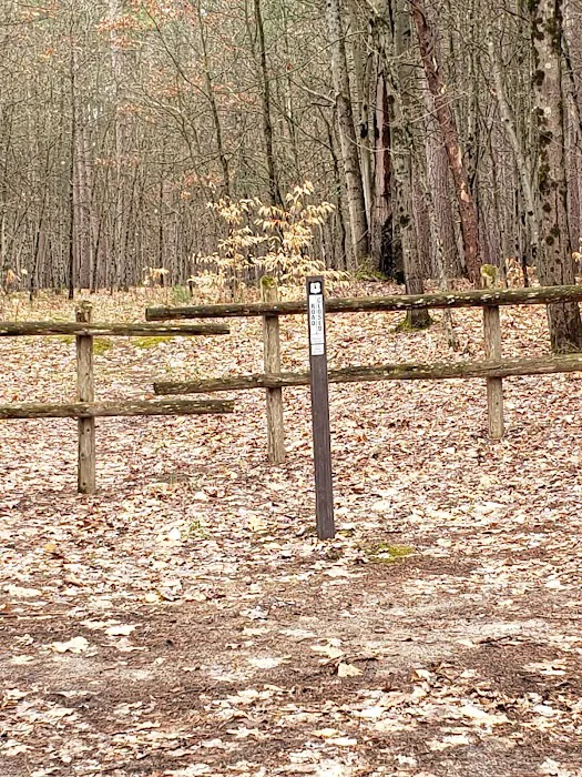 Sulak Campground 8