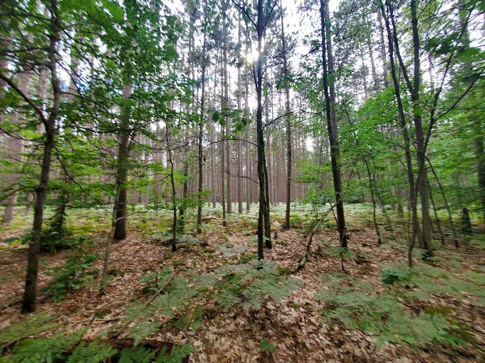 Sulak Campground 3