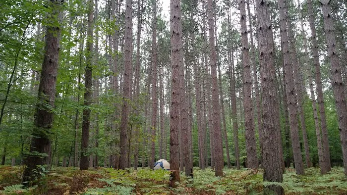 Sulak Campground 5