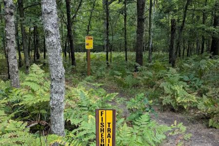 Sulak Campground